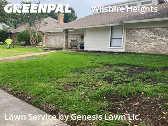Lawn Cutting nearby Dallas, TX, 