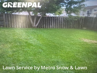 Lawn mowed in Clinton Township, 48035