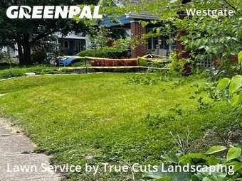 Yard Cutting nearby Columbus, OH, 