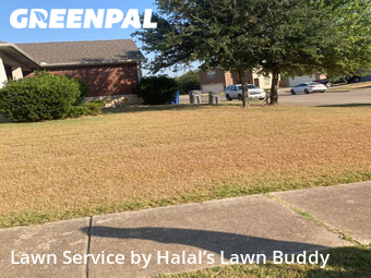 Lawn Cutting nearby Grand Prairie, TX, 