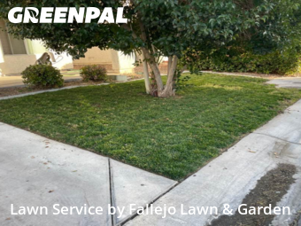 Landscaping Maintenance In Las Vegas,89123,Landscaping Renovation by Fallejo Lawn & Garden, work completed in Feb , 2026