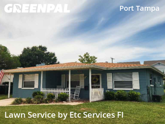 Lawn Mow nearby Tampa, FL, 