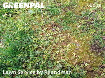 Grass Cut nearby Portland, OR, 