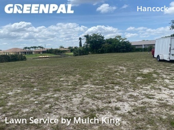 Grass Cut nearby Cape Coral, FL, 