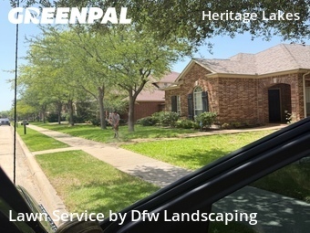 Landscaping Renovation In Frisco,75034,Landscaping Maintenance by Dfw Landscaping , work completed in Jun , 2026