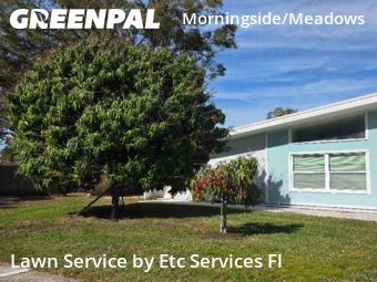 Yard Mowingin Clearwater,33764,Grass Cut by Etc Services Fl, work completed in Jan , 2026