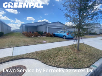 Grass Cutting nearby Haines City, FL, 