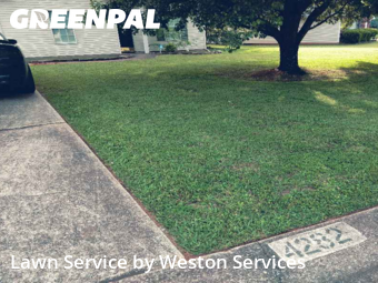 Lawn Cut nearby Bessemer, AL, 