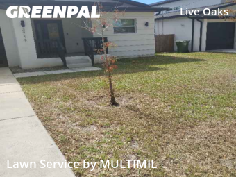 Lawn Care Servicein Tampa,33610,Grass Cutting by MULTIMIL , work completed in Nov , 2025