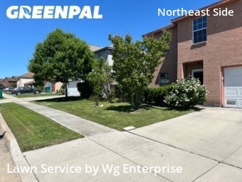 Lawn Cut nearby Converse, TX, 