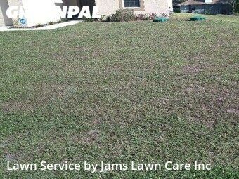 Lawn Cutting nearby Spring Hill, FL, 
