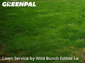 Grass Cut nearby Olympia, WA, 