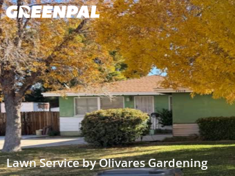 Modern Landscaping In Lancaster,93534,Landscaping Services by Olivares Gardening , work completed in Dec , 2025