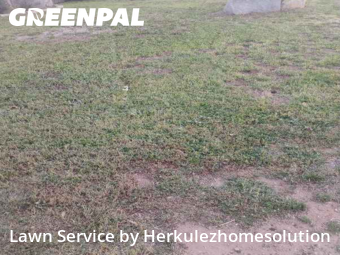 Lawn Care Service nearby Lakeside, CA, 