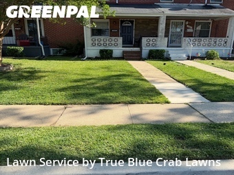 Lawn Cutting nearby Essex, MD, 