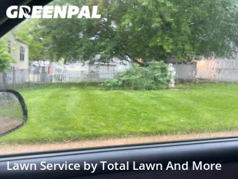 Yard Cutting nearby St. Louis, IL, 