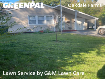 Yard Mowing nearby Norfolk, VA, 