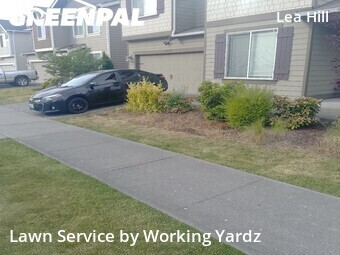 Lawn Care nearby Auburn, WA, 