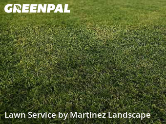 Yard Services in Leesburg, 34788, Property Maintenance by Martinez Landscape, work completed in Dec , 2025