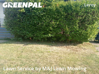 Lawn Maintenance nearby Buffalo, NY, 