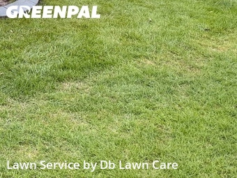 Grass Cutin Norman,73072,Yard Mowing by Db Lawn Care, work completed in Jun , 2026