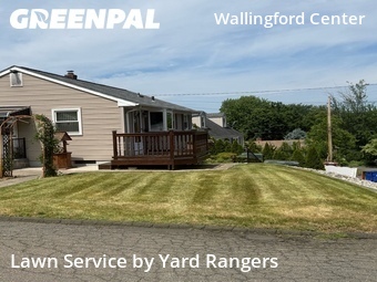 Grass Cut nearby Wallingford, CT, 
