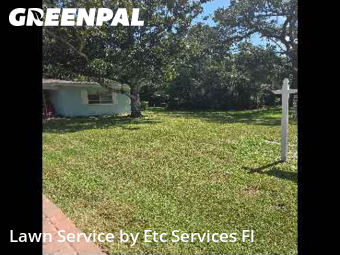 Yard Cuttingin Dunedin,34698,Grass Cut by Etc Services Fl, work completed in Dec , 2025