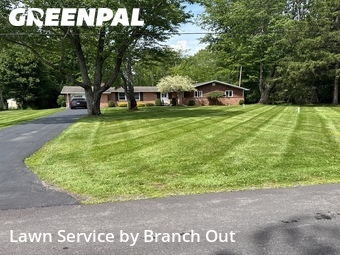 Grass Cut nearby Elma Center, NY, 