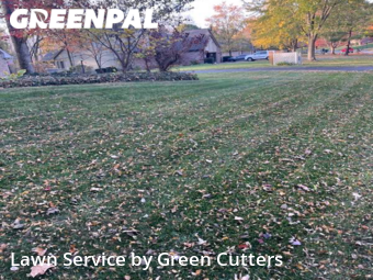 Yard Mowing nearby Zionsville, IN, 