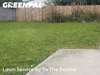 Lawn Service nearby Jacksonville, FL, 