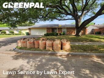 Lawn Cut nearby The Colony, TX, 