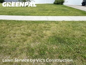 Lawn Cut nearby Joliet, IL, 