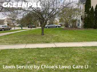 Grass Cut nearby Elgin, IL, 