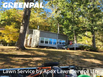 Yard Cutting in Johnson City, 37601, Yard Grooming by Apex Lawn Service Llc, work completed in Dec , 2025