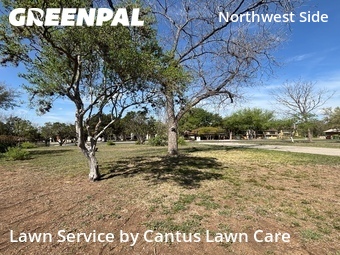 Lawn Mowing nearby Helotes, TX, 