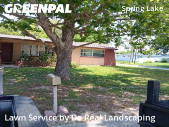 Grass Cutting nearby New Port Richey, FL, 