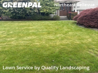 Lawn Mowing Servicein Bellevue,98008,Lawn Mowing Service by Quality Landscaping, work completed in Jun , 2026