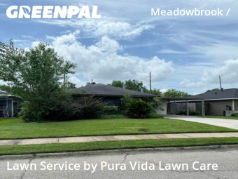 Grass Cut nearby Houston, TX, 