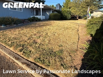 Landscaping Maintenance In Kent,98031,Landscaping Maintenance by Passionate Landscapes, work completed in Jul , 2026