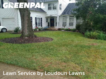 Grass Cutting in Ashburn, 20147, Yard Mowing by Loudoun Lawns, work completed in Nov , 2025