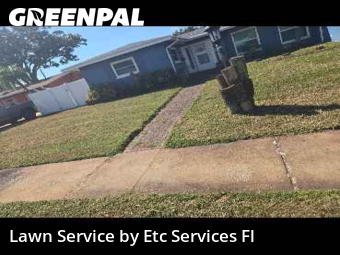 Backyard Landscaping In St. Petersburg,33710,Landscaping Services by Etc Services Fl, work completed in Nov , 2025