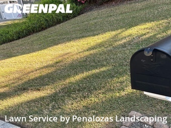 Yard Cutting nearby Suwanee, GA, 