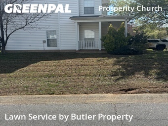 Grass Cutting nearby Charlotte, NC, 