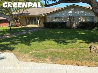 Grass Cutin Plano,75093,Lawn Mowing Service by Alfas Landscaping, work completed in Jun , 2026