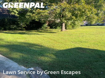 Weed Trimming in Franklin, 37064, Weed Trimming by Green Escapes, work completed in Oct , 2025