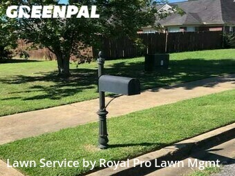 Lawn Cutting nearby Olive Branch, MS, 