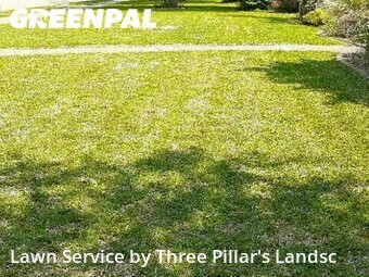 Lawn Mow nearby Plano, TX, 