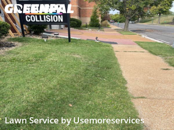 Yard Cutting nearby St. Louis, MO, 