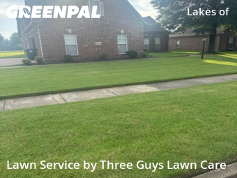 Yard Cutting in Collierville, 38017, Garden Trimming by Three Guys Lawn Care, work completed in Nov , 2025