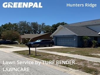 Grass Cut nearby New Port Richey, FL, 